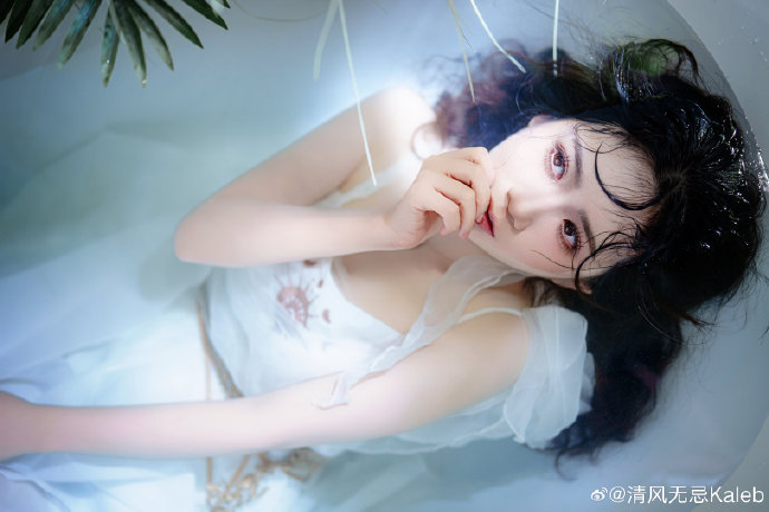 秘密森林2 封面